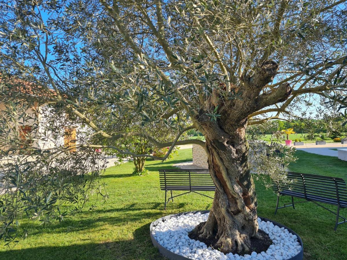 Domaine Du Cuiset -Gite Des Combles Villa Saint-André-sur-Vieux-Jonc Eksteriør bilde